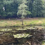 5 Person In * Hovborg