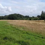 5 Person In *